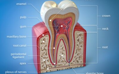 Devitalizzazione del dente. Cos’è e come intervenire.